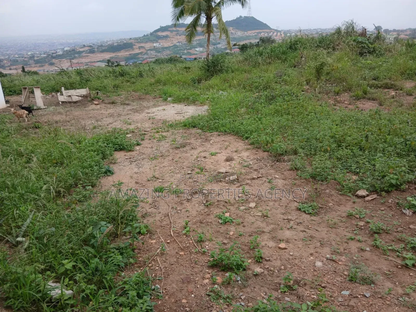 6 Acres of Land for Sale at Kwabenya North