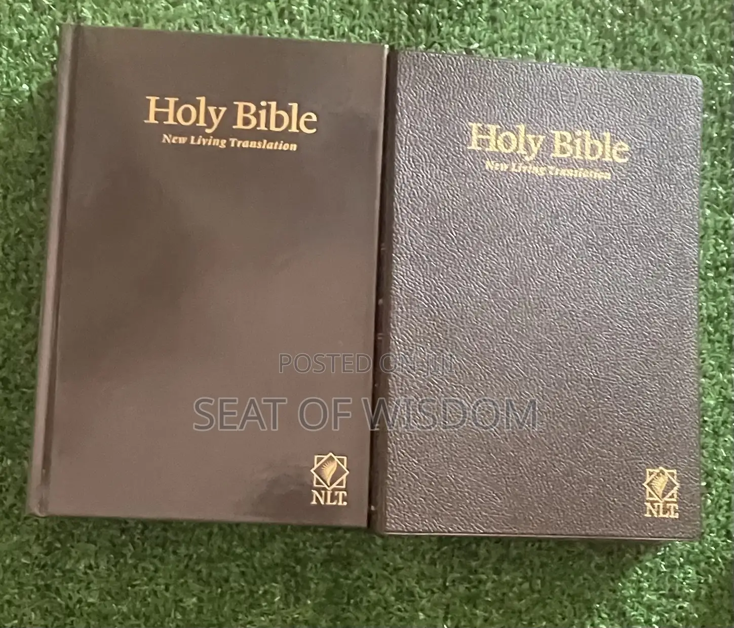 NLT Holy Bible