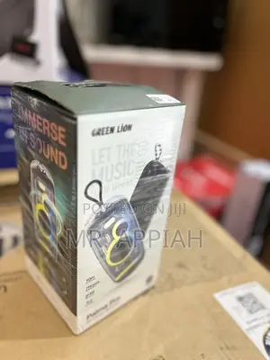 Affordable Green Lion Palma Pro Wireless Portable Speaker.