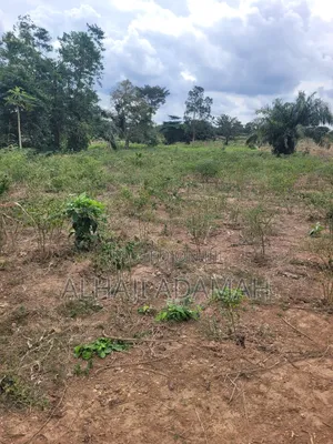Lands for Sale at Trede Patasie New Site