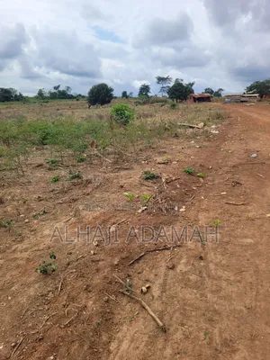 Lands for Sale at Trede Patasie New Site