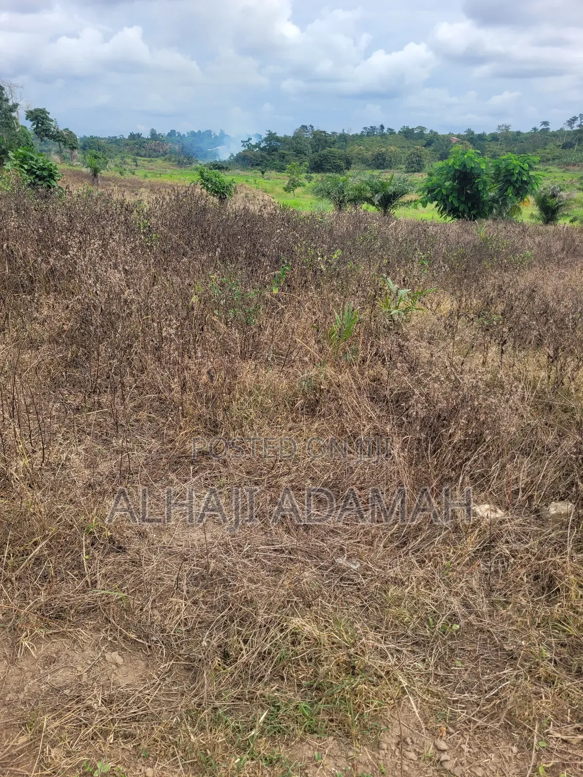 Lands for Sale at Trede Patasie New Site