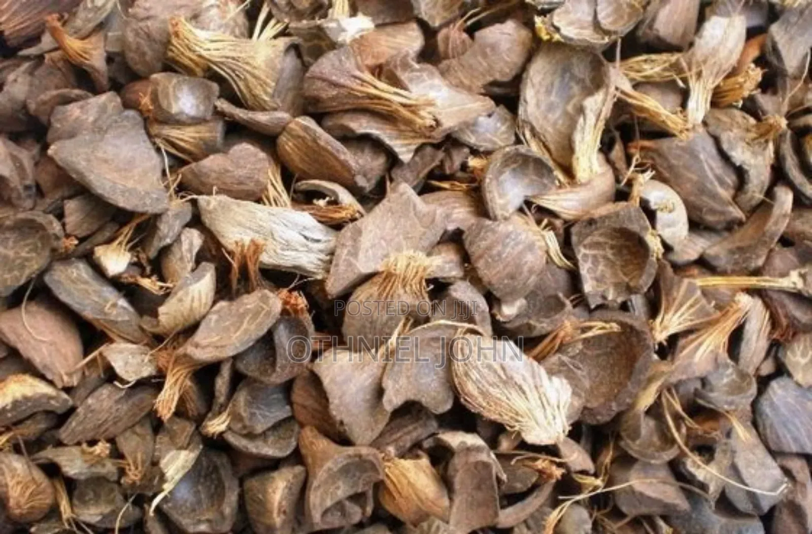 Palm Kernel Shell