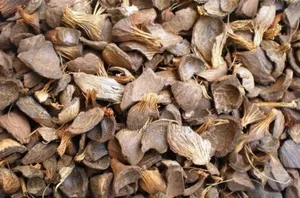 Palm Kernel Shell