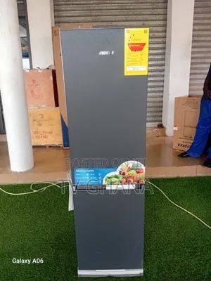 Cryro Chamber Asano Freezer Double Door Asano 244 Liters