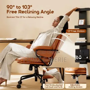 Oraimo Softnest Double-Layer Cushioning Office Chair