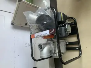 Leo Glp40 High Pressure Gasoline Water Pumb