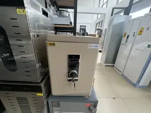 Fingerprint Money Safe
