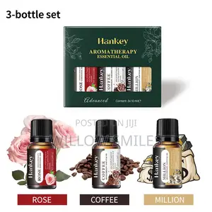 Aromatherapy Essential Oil 3bottle Set