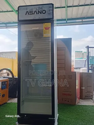 Big Storage Asano 244 Liters Freezer