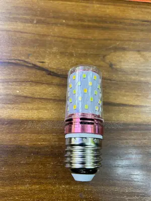 Ceiling Light