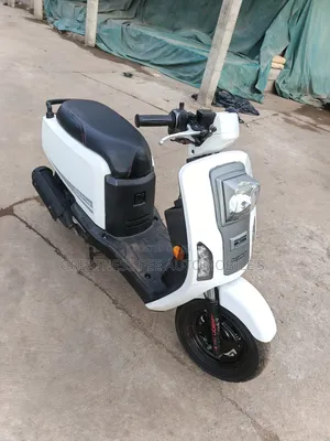 Autodex 2020 White