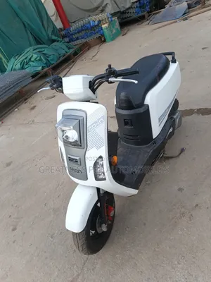 Autodex 2020 White