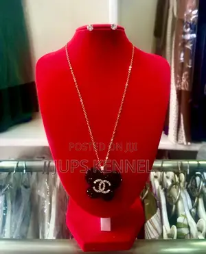 Necklace(Jewelry)