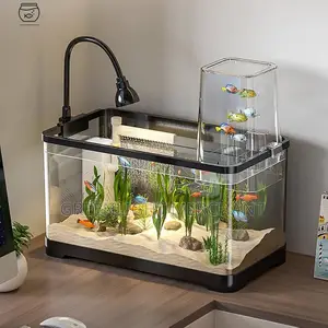 Desk Top Aquarium