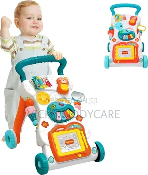 2 In 1 Push Walker