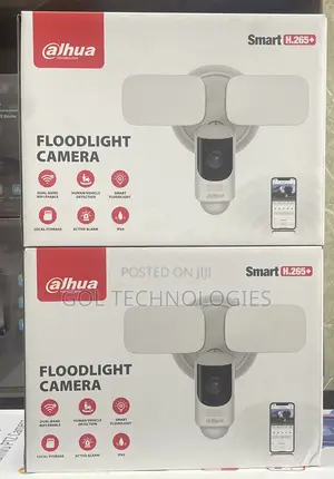 Dahua Floodlight Wifi Camera Dh-Ipc-Wl46a Ip Standalone Camera 4mp