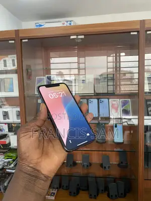 Apple iPhone 12 Pro 256 GB Blue