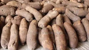 Get Your Market Groceries Without Stress- Fresh and Cheap