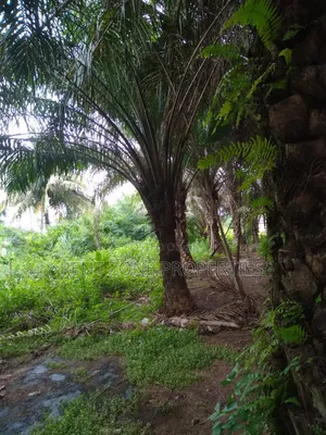 Title Land for Sale
