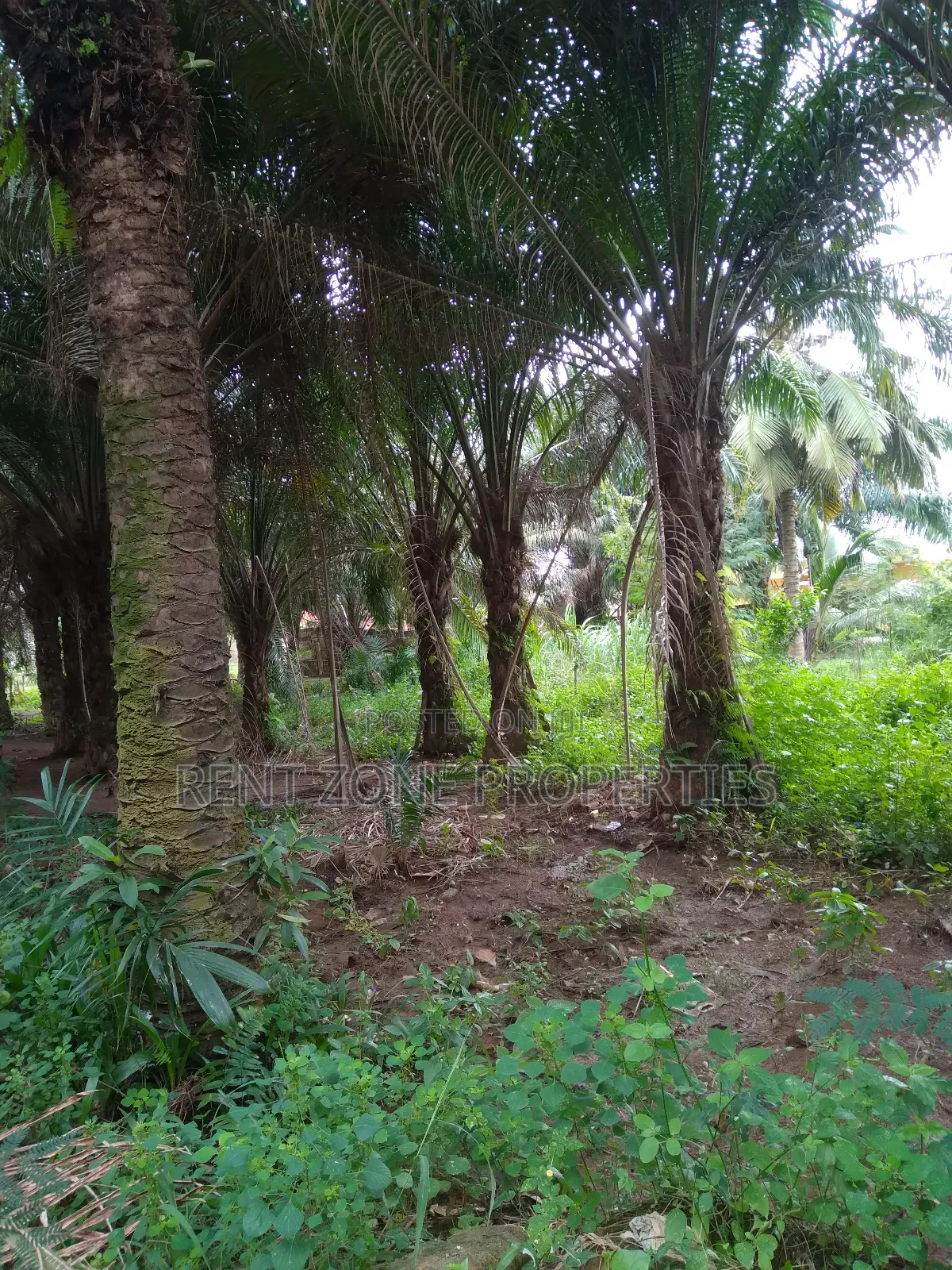 Title Land for Sale