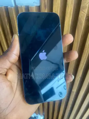 Apple iPhone 15 Pro Max 256 GB Black