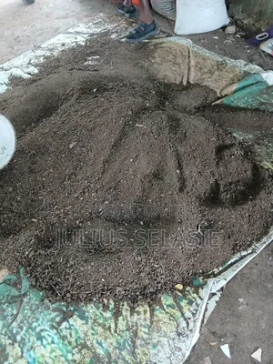 Organic Compost
