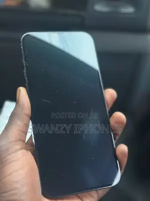Apple iPhone 15 Pro Max 256 GB Black