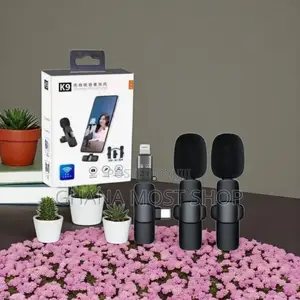 Generic Long Battery Life 2 in 1 Microphone (35677)