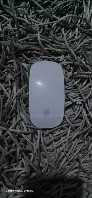Apple Magic Mouse 1