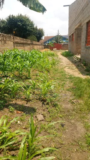 Half Plot of Land for Sale at Spintex