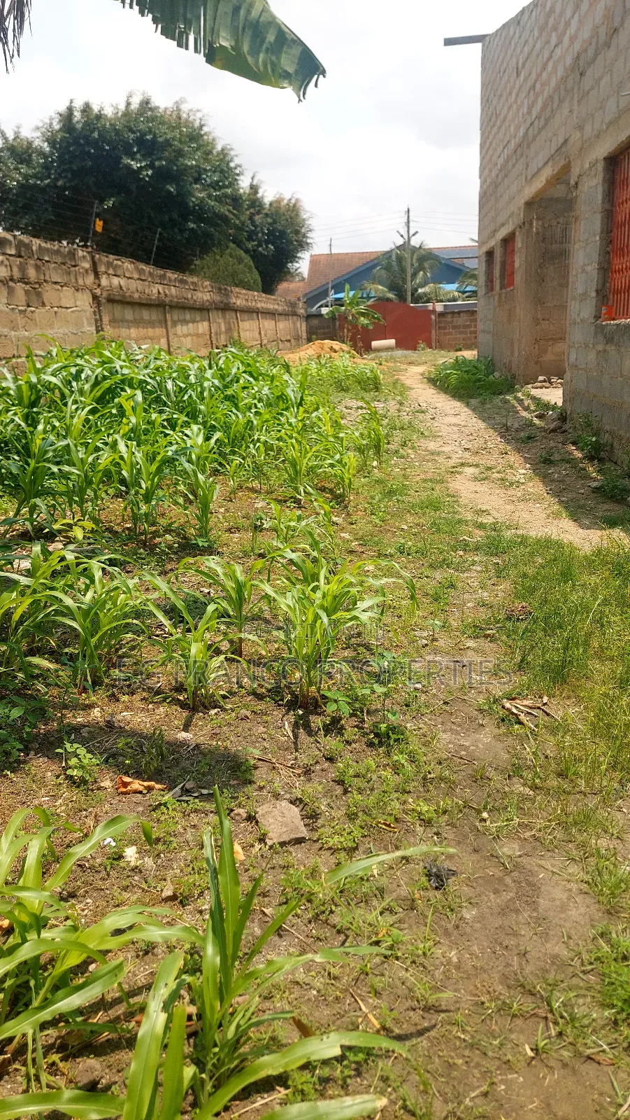 Half Plot of Land for Sale at Spintex