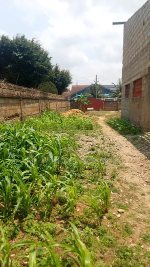 Half Plot of Land for Sale at Spintex