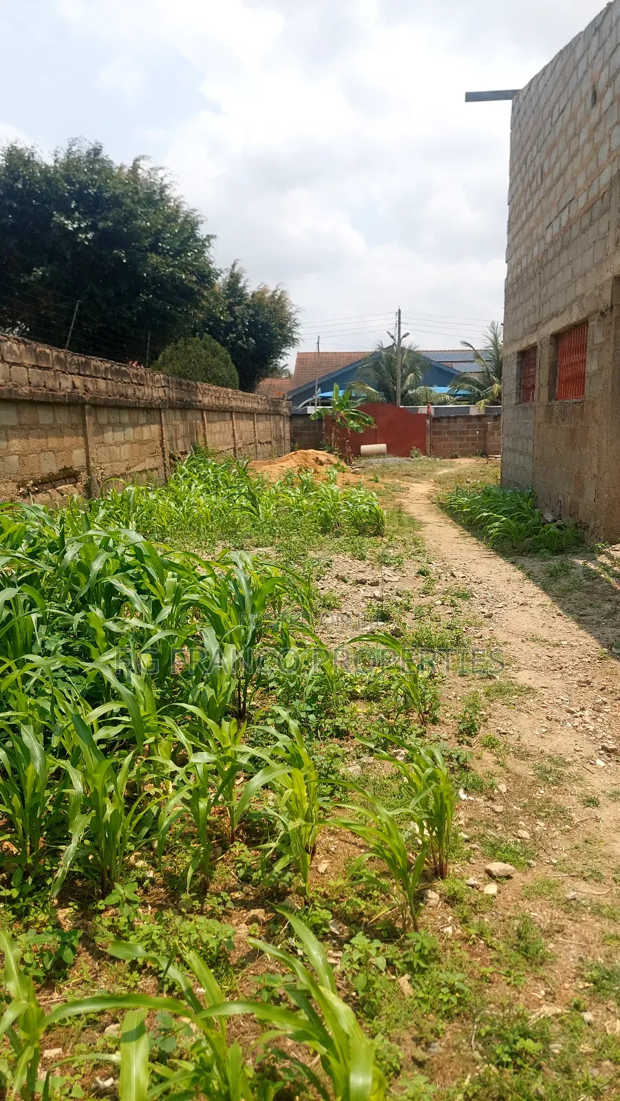 Half Plot of Land for Sale at Spintex