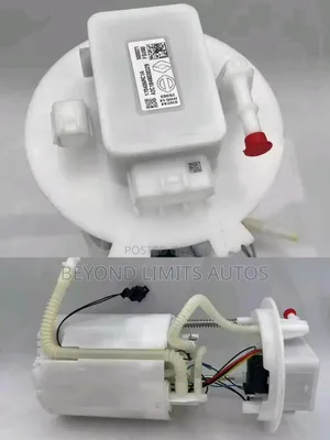 Nissan Rogue Fuel Pump