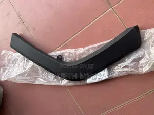 Toyota Rav4 2019-2023 Back/Rear Fender Moulding