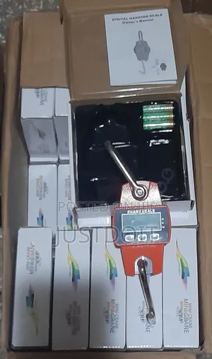 300kg Digital Crane Scale
