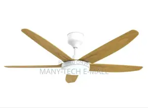 Luxurious Ceiling Fan With Light. Remote Control