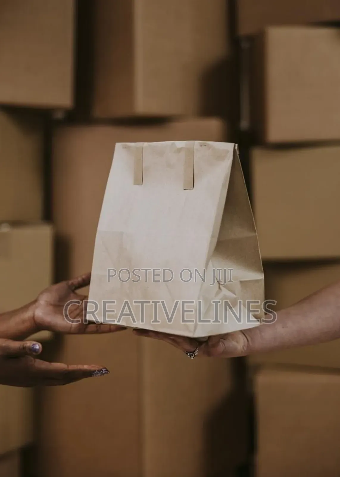Brown Paper Bags in a Box