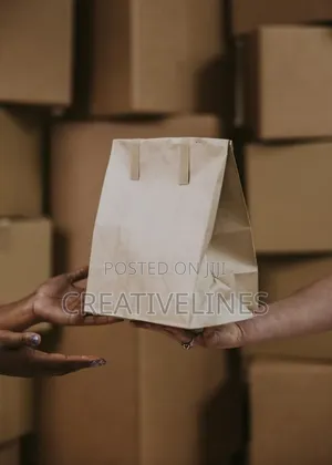Brown Paper Bags in a Box