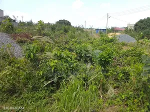 Two Plots of Land for Sale Located at Oyibi Saasabi Junction