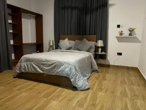 Furnished 2bdrm Apartment in Joseph Debrah, North Legon for rent