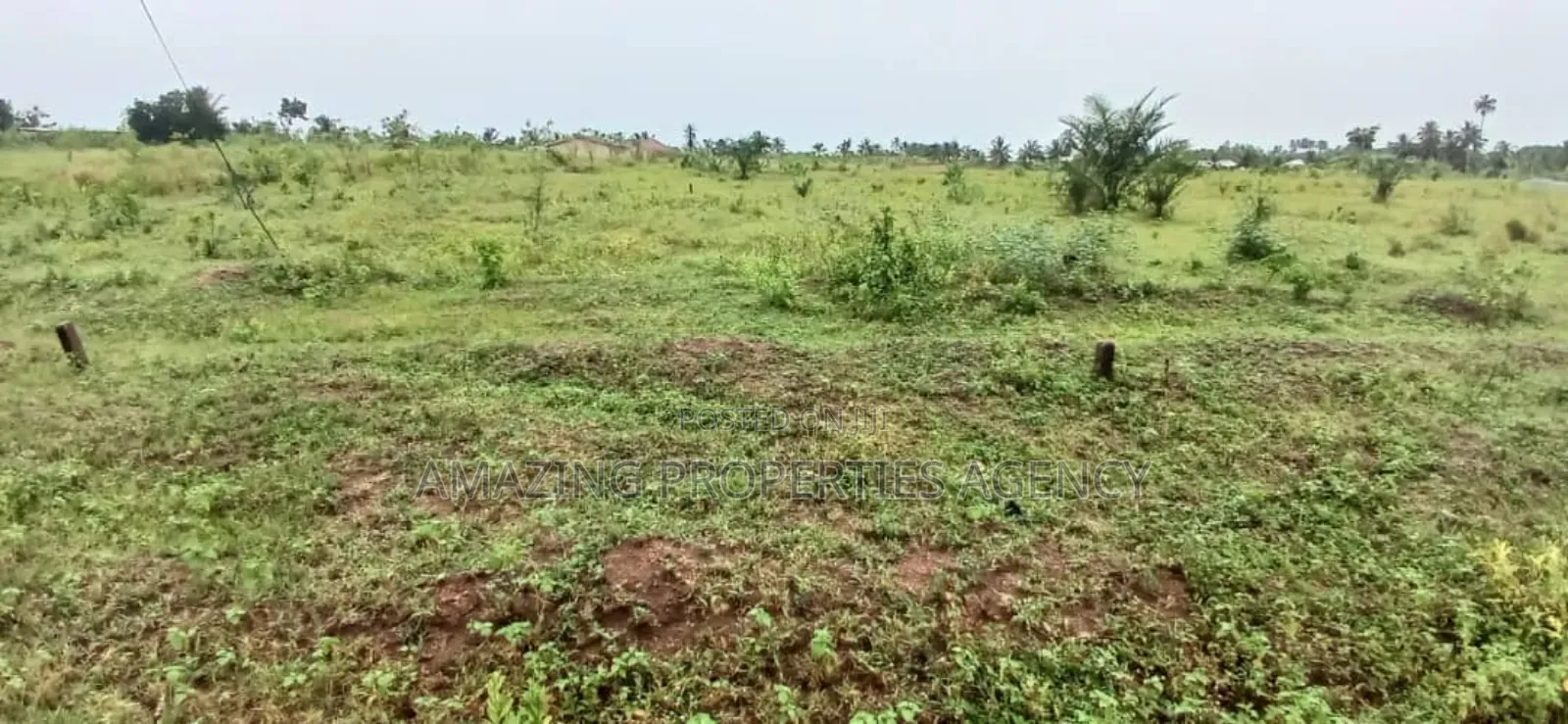 12 Acre's of Land at Tema Free Zone Price Per Acre $