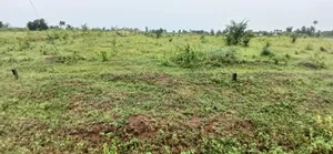 12 Acre's of Land at Tema Free Zone Price Per Acre $