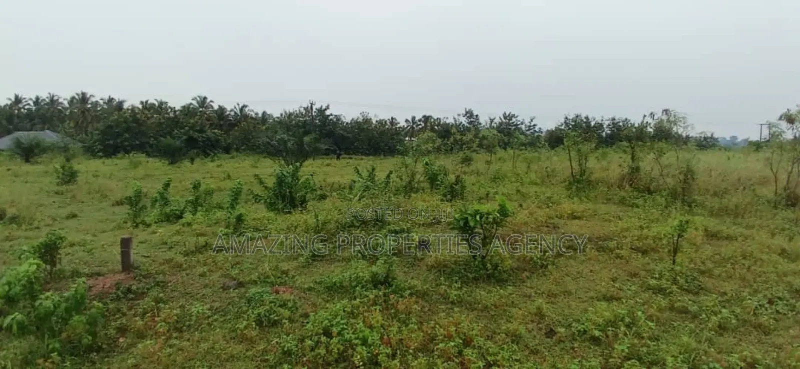 12 Acre's of Land at Tema Free Zone Price Per Acre $