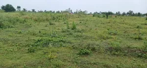 Land for Sale 8 Acre's of Land at Tema Free Zone Enclave*