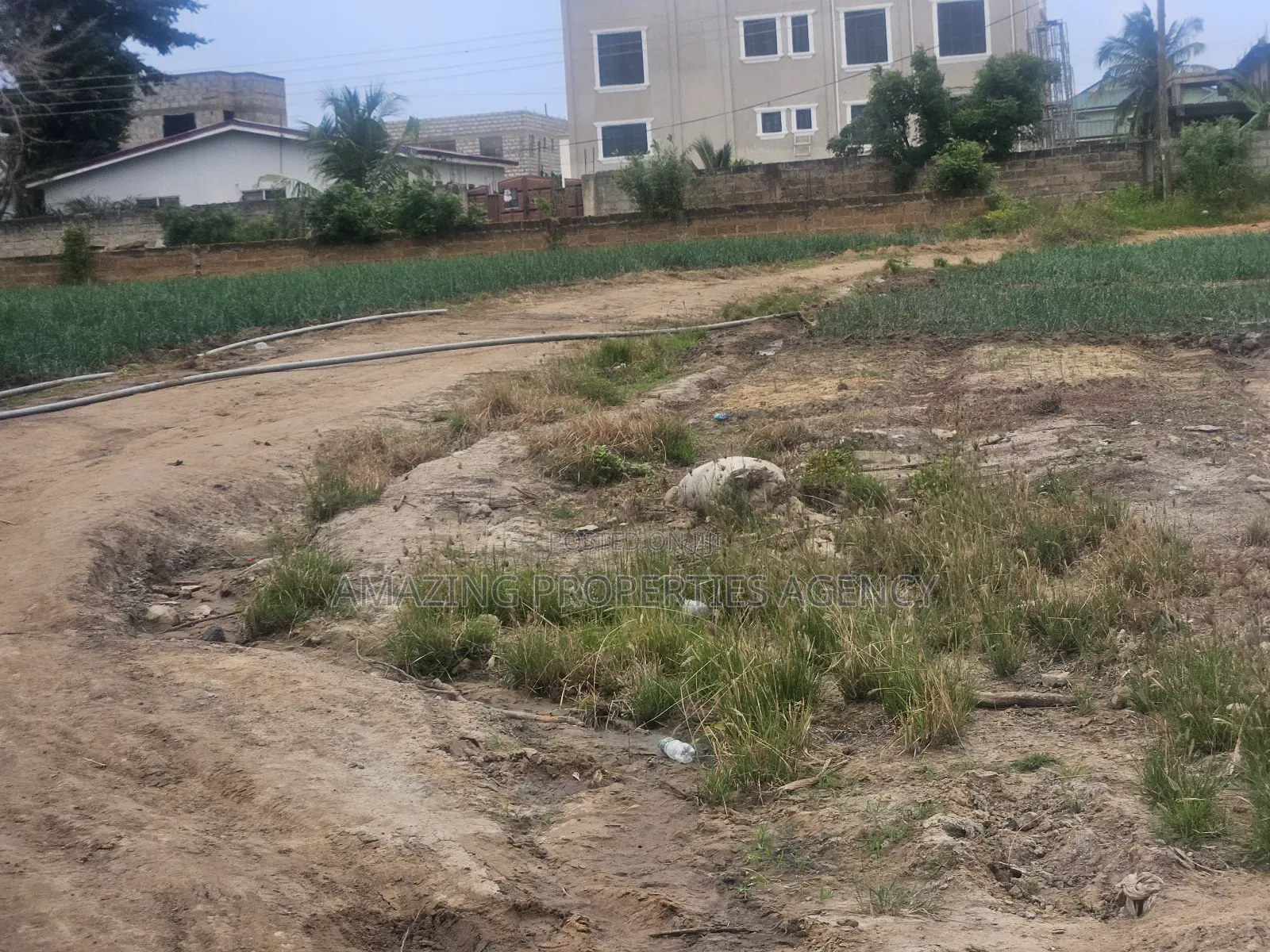 Dawenya - Prampram Road. The Land