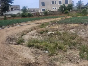 Dawenya - Prampram Road. The Land