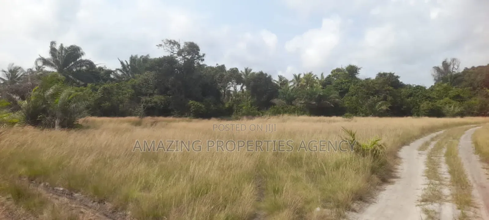 15 Acres of Land at Prampram Road. The Land