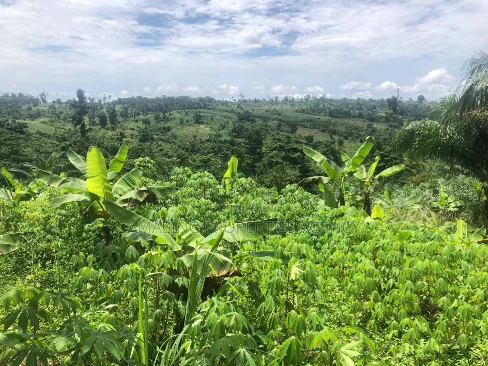 2000 Acres of Land for Sale at Baweleshie